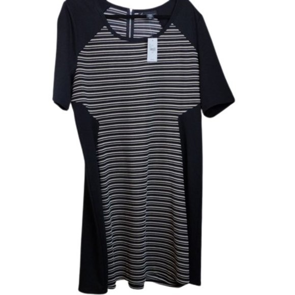 NWT Lane Bryant Color Block Short Sleeved Dress 18/20 - Picture 5 of 12